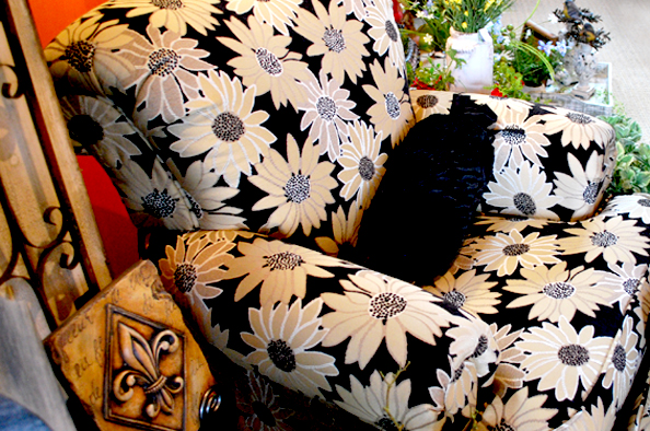 Justice Furniture, chair, daisy pattern